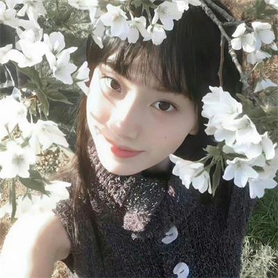 泪桥